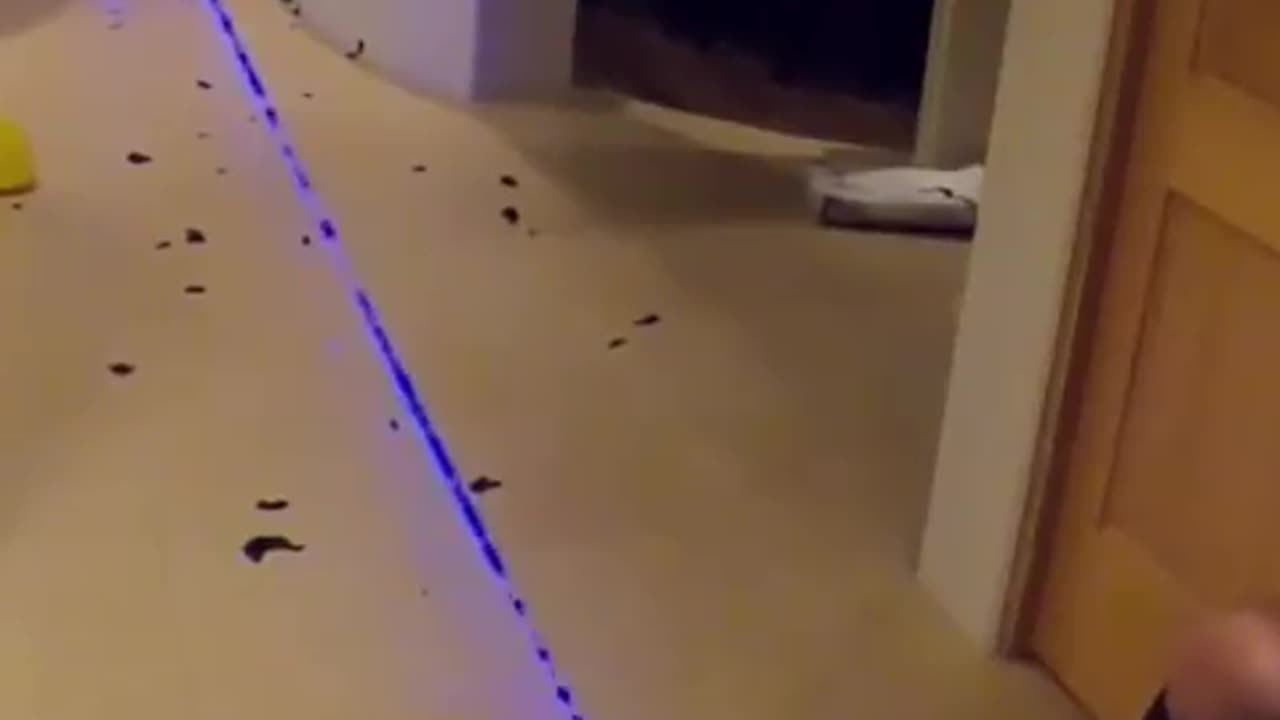 Efficiency Of 5W Blue Laser