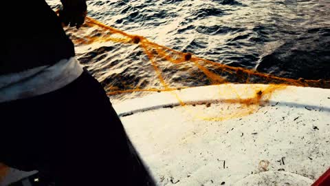 Traditional Fishing in the Mediterranean I Marine Research on a Greek Fishing boat