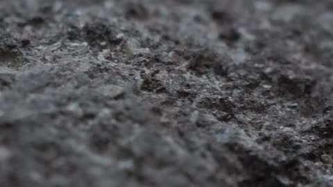 Texture of a gray rock detail view