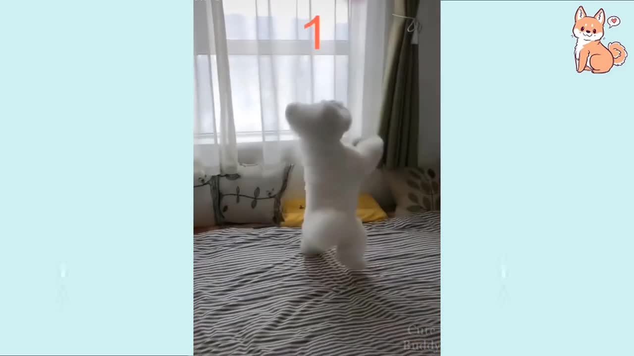 Try Not To Laugh At This Ultimate Funny Dog Video Compilation | Funny Pet Videos
