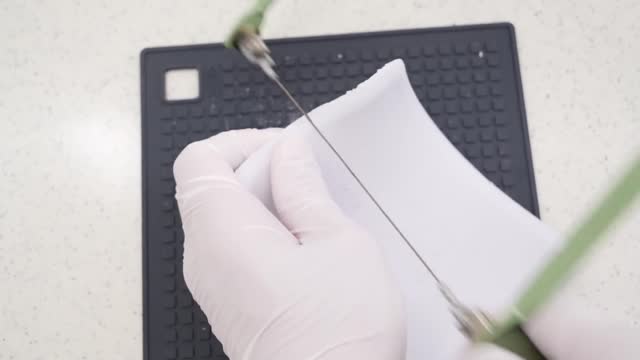 The sharpest paper kitchen knife - Calming video / ASMR