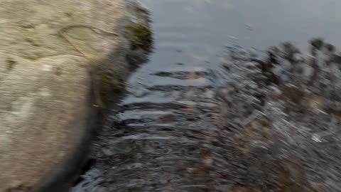 Ice vs ice