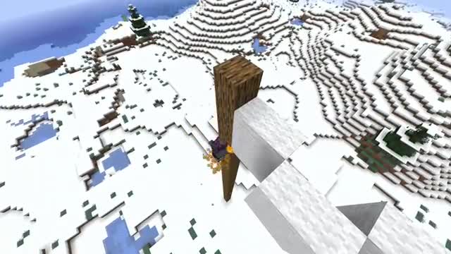 MINECRAFT 20 SECRET