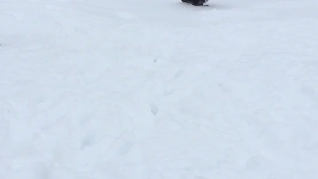 Snow fun with @tobylonglegs16