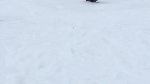 Snow fun with @tobylonglegs16