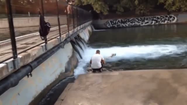 Funny Dog Videos - Watch How this Funny Dog passes his Time