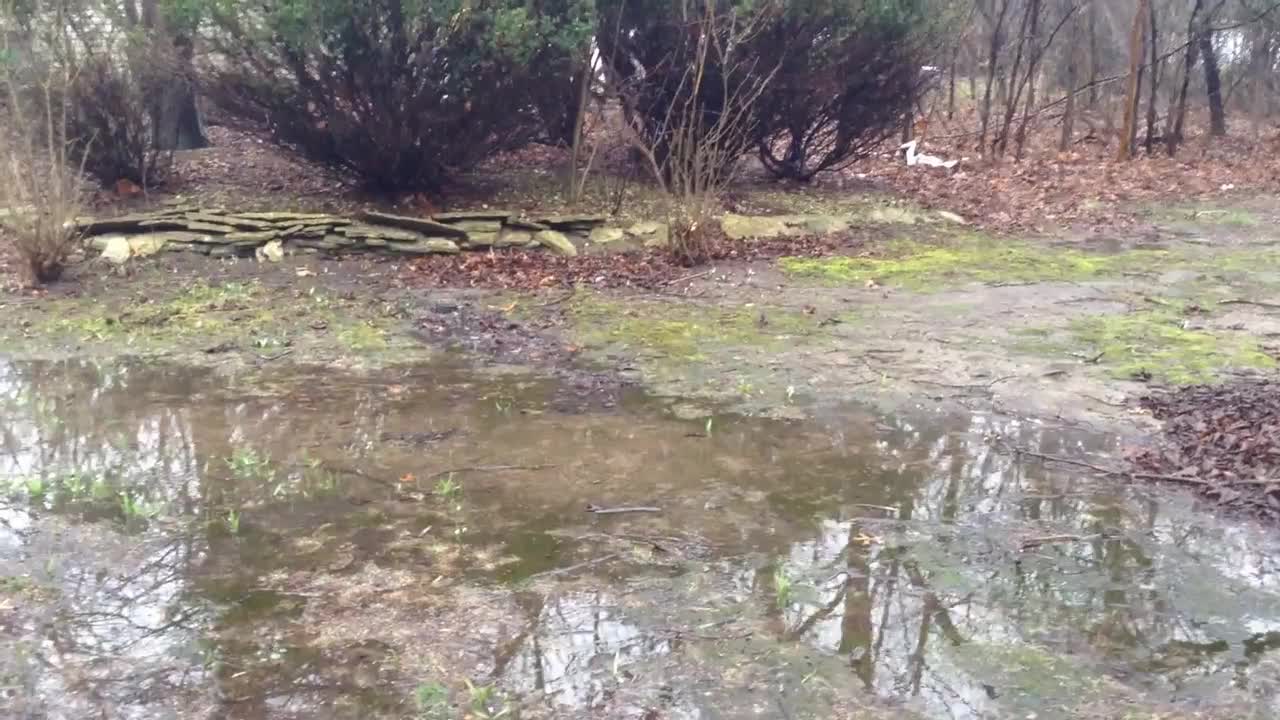 Basement Flooding