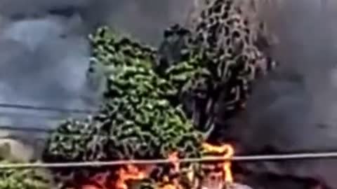 Several homes caught fire in Los Angeles, California from a grass fire
