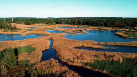 A BEAUTIFUL LANDSCAPE VIDEO