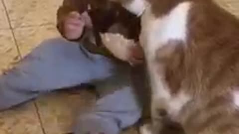 A child shares his bread with a cat!