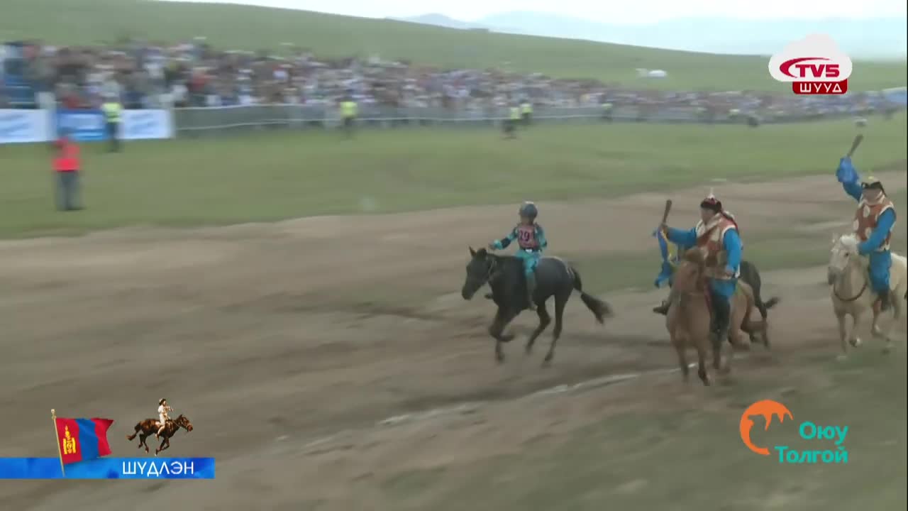 mongolian horse