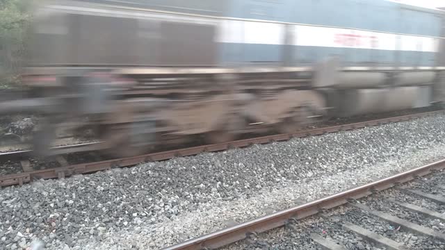 The train