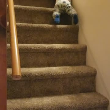 Navigating the Stairs