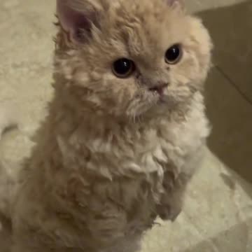 What a cutie 😍😍