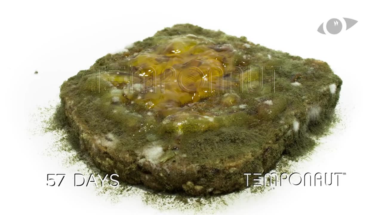 Jam Bread Timelapse Video