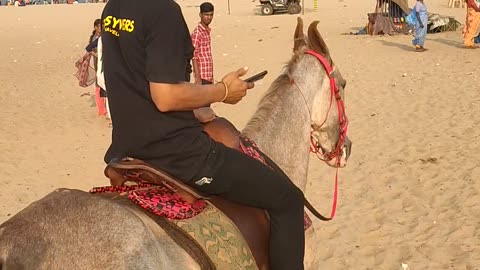 Marina Beach Chennai