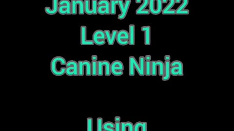 Aurora January Ninja "Pantry Items"