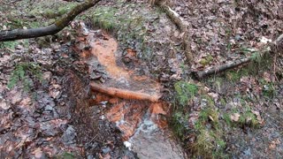 Wider View of Iron Oxidation 2_28_2021