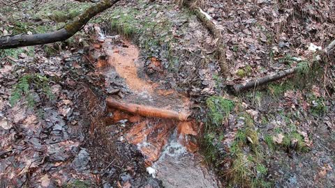 Wider View of Iron Oxidation 2_28_2021