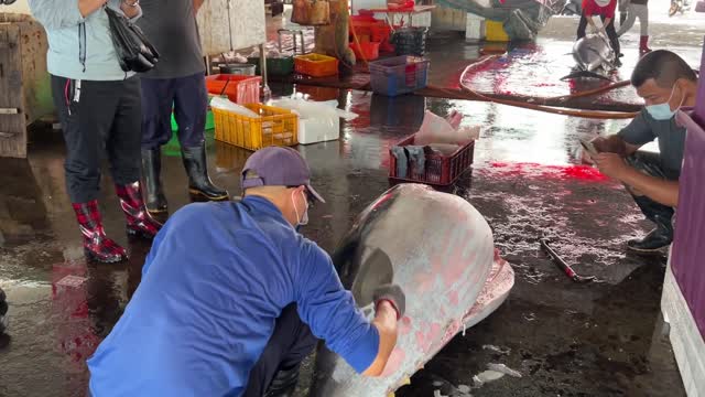 Super huge bluefin tuna cutting skills(1)