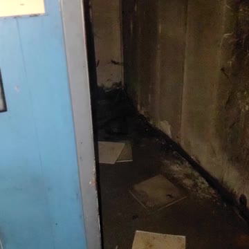 Funky place looks like haunted house