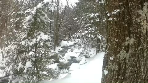 [Trap Falls] UpNorth Virtual Trail Tour 2022- Fresh Snow!