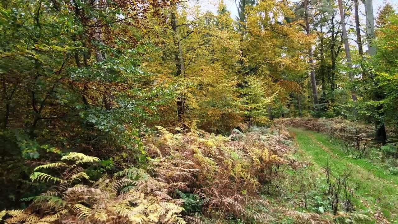 Nature