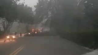 Emergencia por caída de árbol en Piedecuesta, por lluvias