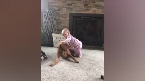 Cute Babies Playing With Dogs Compilation | Funny Baby And Pets