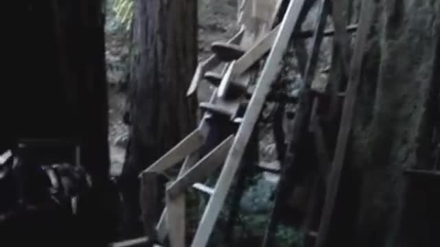 Alex Jones The Order of Death (Full Length)