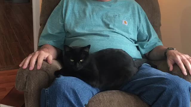 Christian brother and his Cat