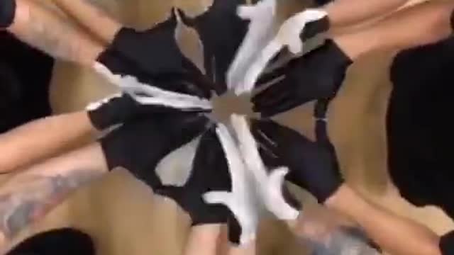 animal sync