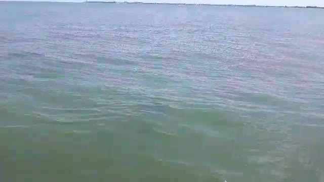 Things to do while in Florida