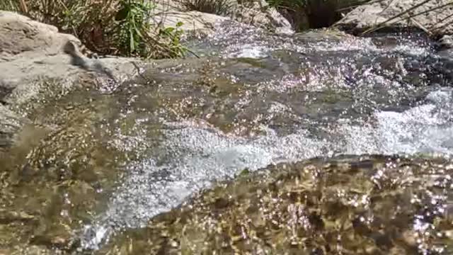 A Waterfall Ein Gedi, Israel