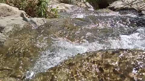 A Waterfall Ein Gedi, Israel