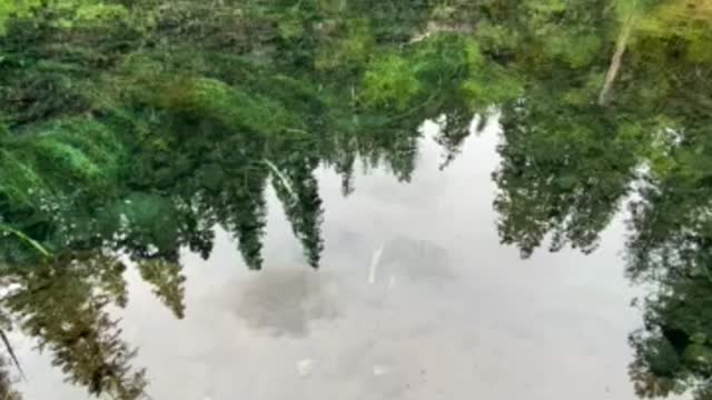 Blue pool in Oregon