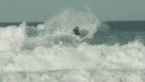 Mystic Majestic Harness 2022