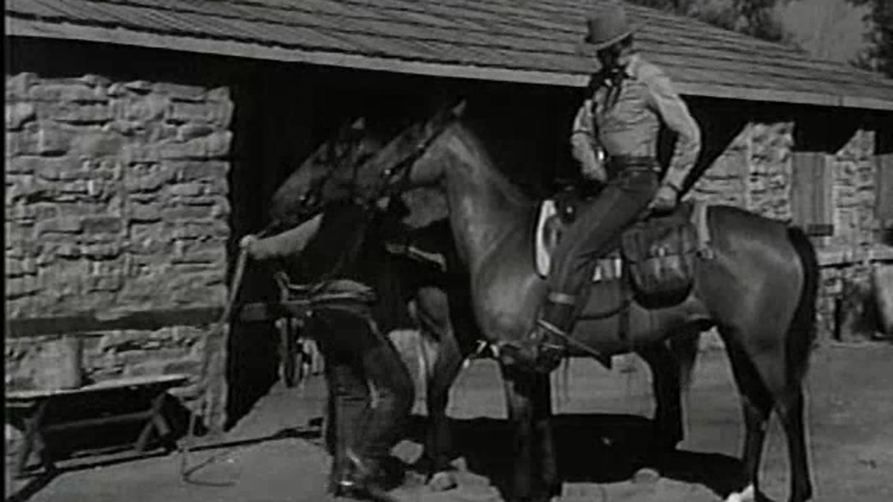 Zorro's Black Whip 11