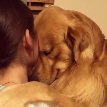 The dog hugs the girl warmly. romantic. The dog kisses the girl.