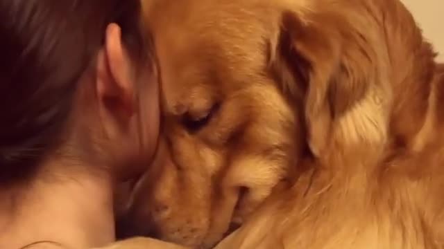 The dog hugs the girl warmly. romantic. The dog kisses the girl.