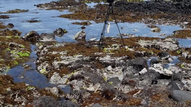 Udo Island in Jeju Island (South Korea)