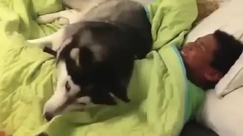 A Dog whose master sleeps