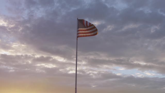 ConstitutionalLitigationPartnership.com