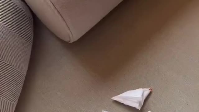 How to store your used plastic bag