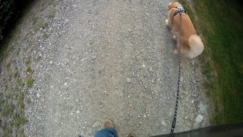 June 22nd, 56º Flynn and I wish brother Bill happy 70th birthday