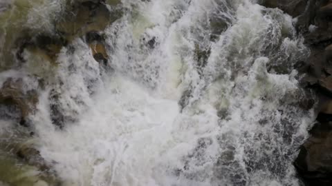 can you see in the water