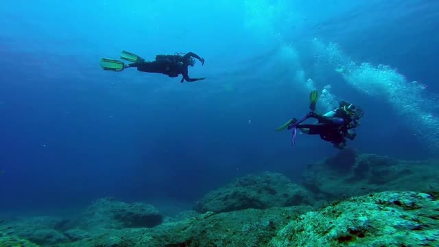 Divers Under The Sea