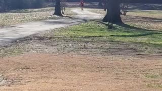 Electric skateboard ride... those shoes!