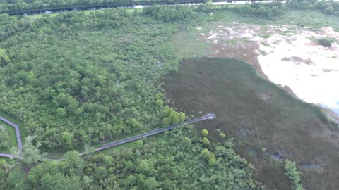 Lake Borgne Bayou_2