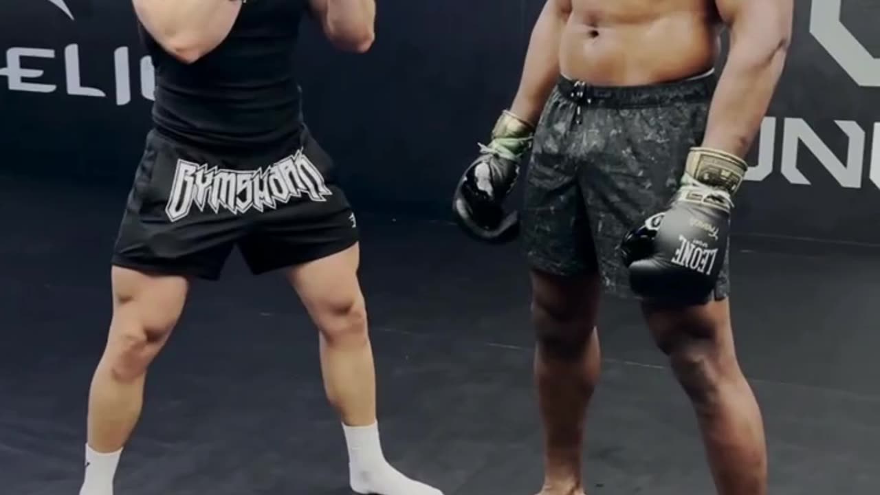 Will Tennyson Trying to Hurt Francis Ngannou With Body Shots